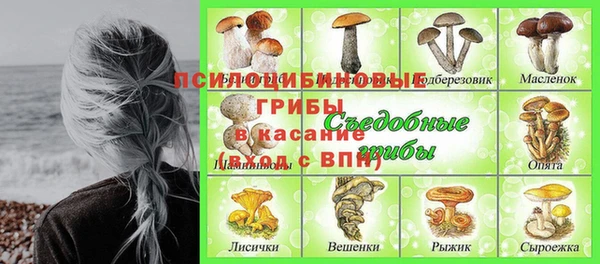 дживик Богданович
