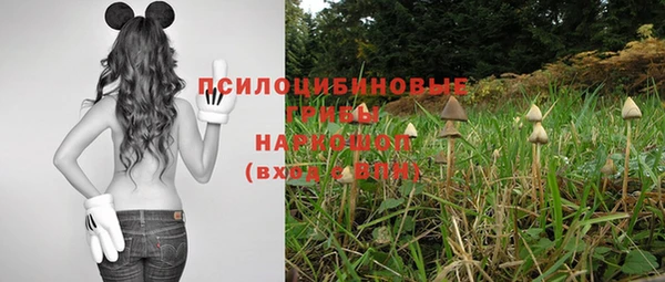 дживик Богданович
