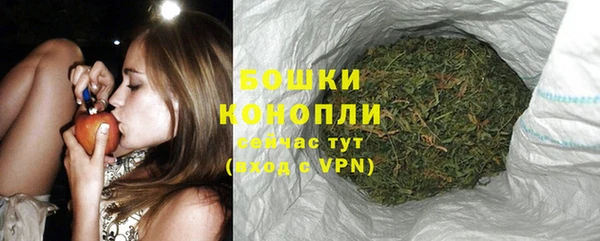 дживик Богданович