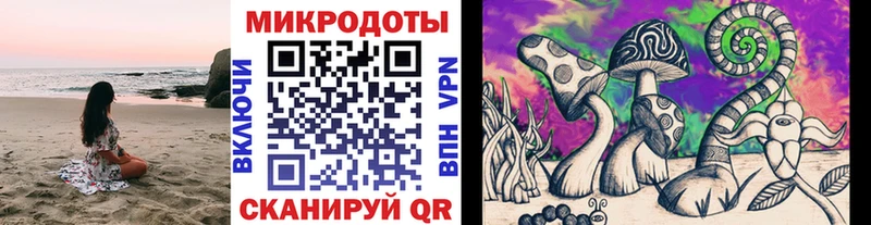Псилоцибиновые грибы мухоморы  mega ONION  Ясногорск 